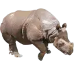 Animal 3d models