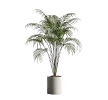 Bonsai 3d models
