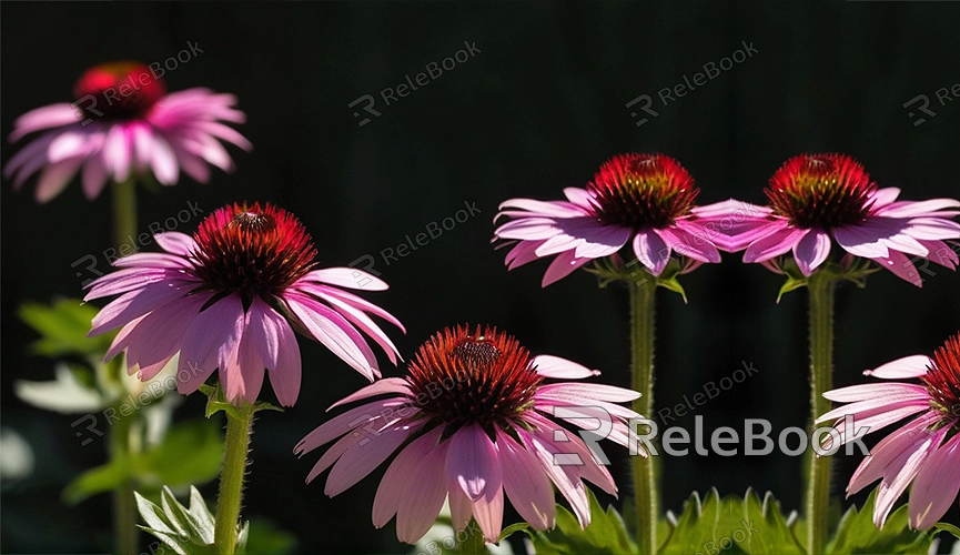 What is a Velvet Plant textures?