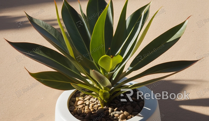 Snake Plant texture - Relebook