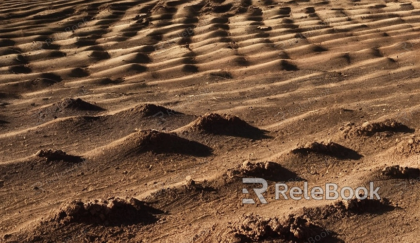 Application of Dirt Ground Texture in Blender