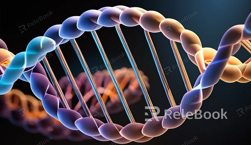 How to Make a 3D Double Helix DNA Model