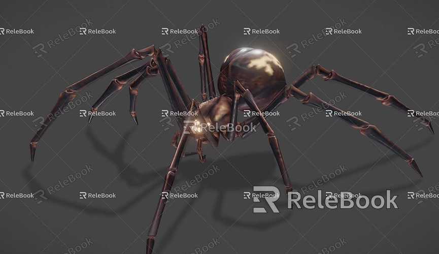 How to Make a 3D Spider Model